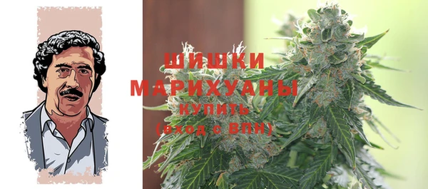 сатива Абинск