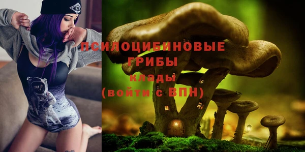 сатива Абинск